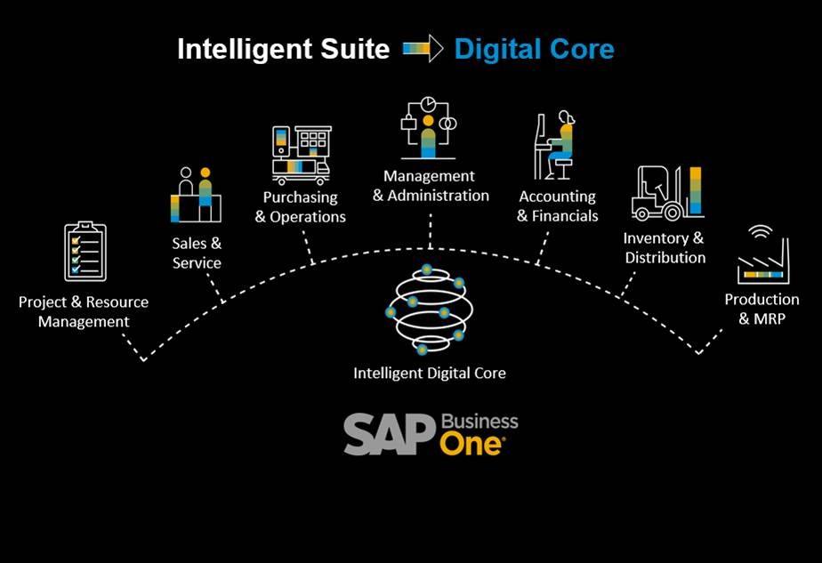 the sap one intelligent suite diagram