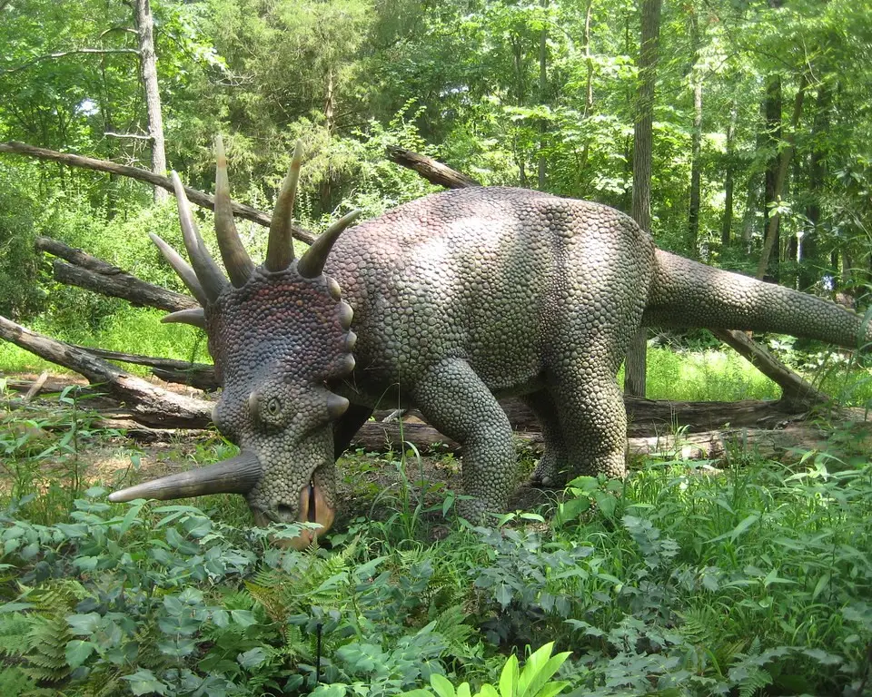 an animal that is standing in the grass