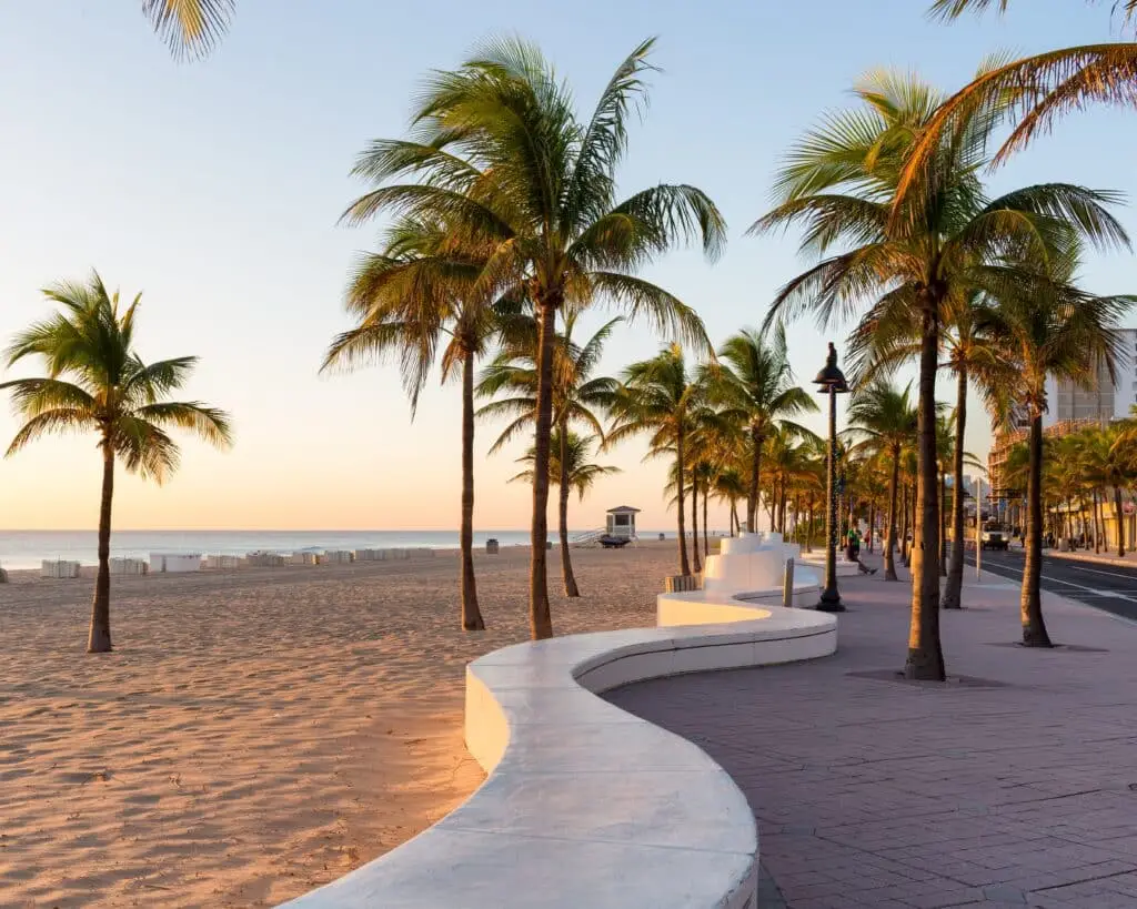 palm trees line the beach as the sun sets