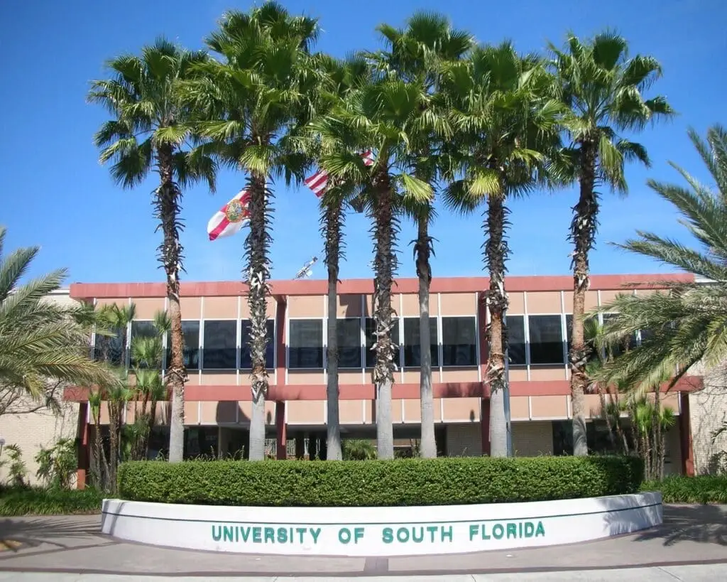 Sap Business One Tampa Florida 13 the university of south florida building with palm trees in front