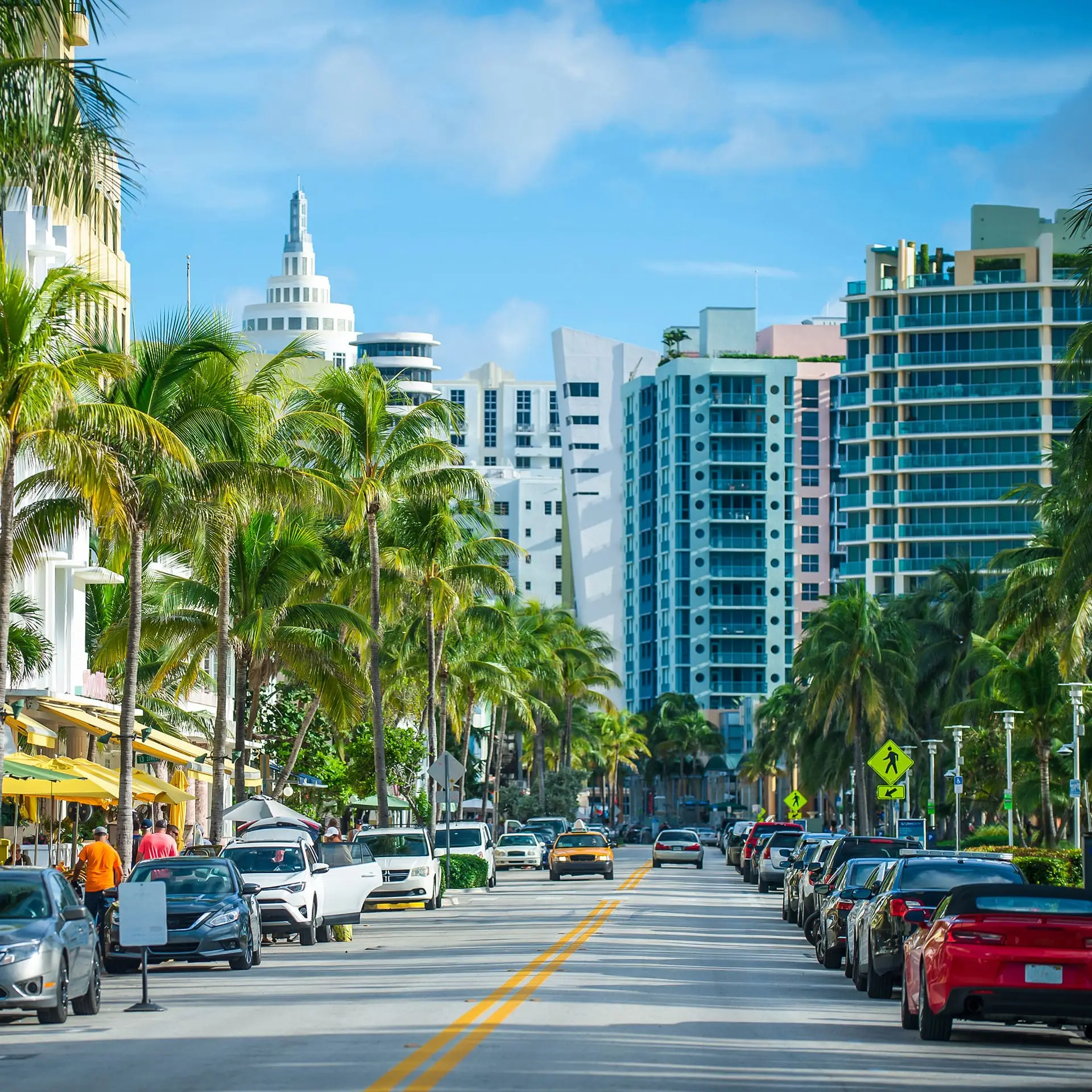 a street lined with palm trees and parked cars