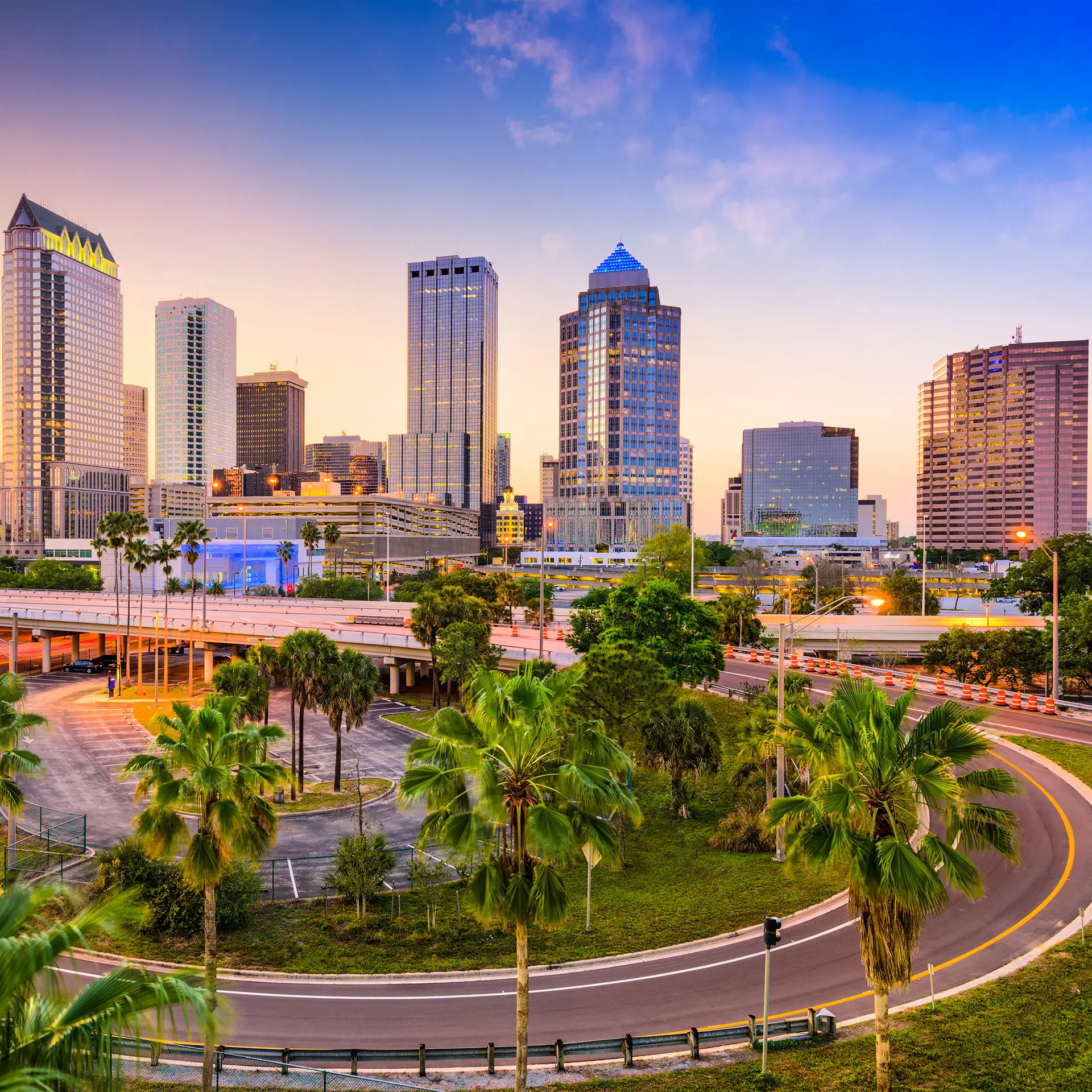 a city skyline with palm trees in the foreground