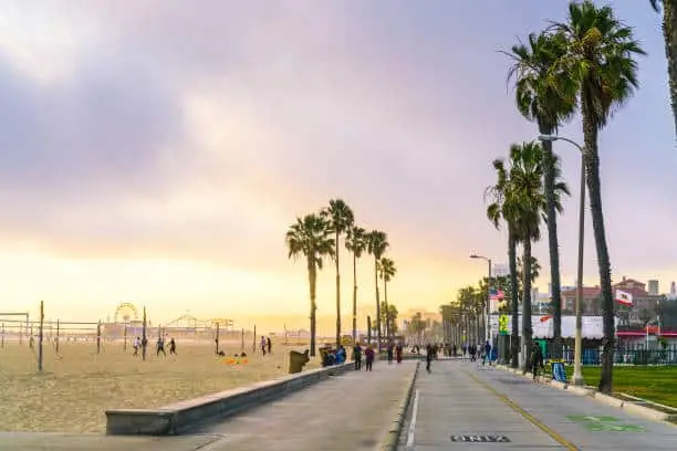 people walking on the beach near palm trees
