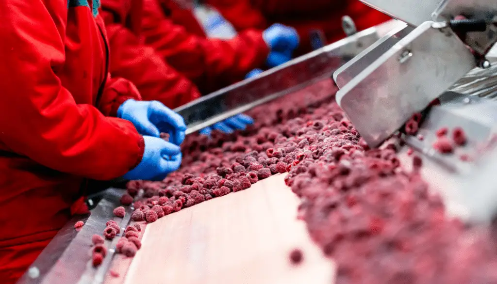 how automation improves efficiency and profitability in food production