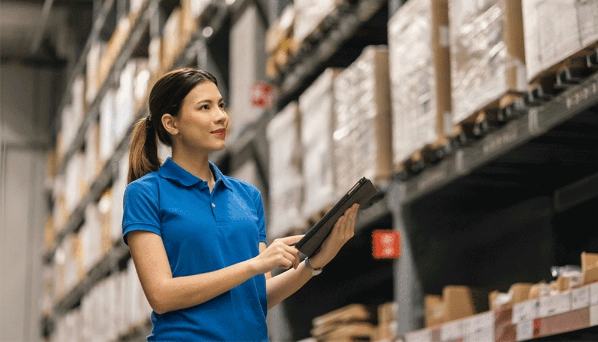 how wholesale companies are tripling their efficiency with sap business one