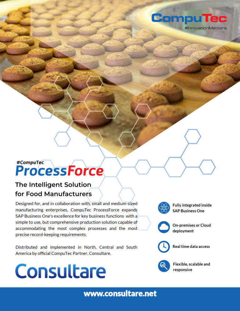 consultare processforce food flyer cover